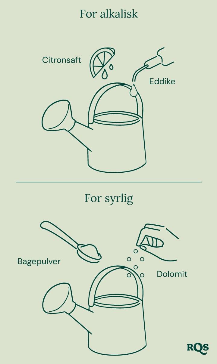 Guide til at justere jordens pH: citron og eddike til at hæve pH ('For alkalisk'), natron og dolomit til at sænke pH ('For sur'). 