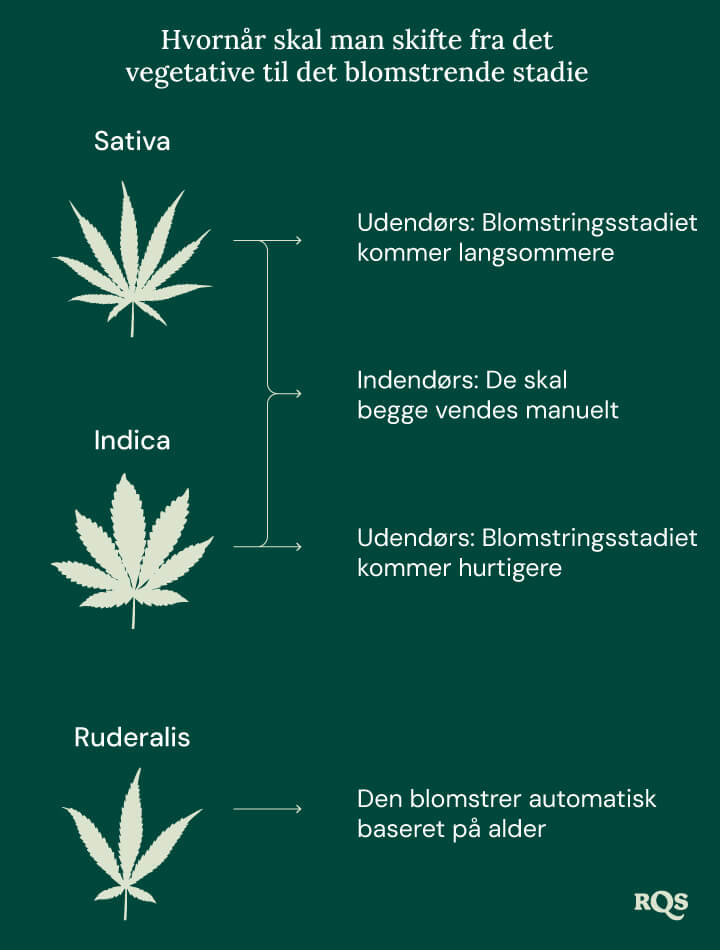 Switch ve to flowering